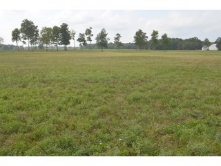 Pond in Dekalb County, Indiana - MAJOR LAND AUCTION - 516+/- ACRES OFFERED IN 18 TRACTS OR COMBINATIONS IN DEKALB COUNTY, INDIANA
